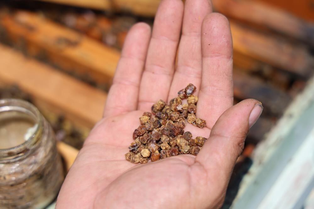 Əvvəllər zibil kimi atılırdı, indi kilosu 128 manata satılır - Xəstəliklərin dərmanıdır
